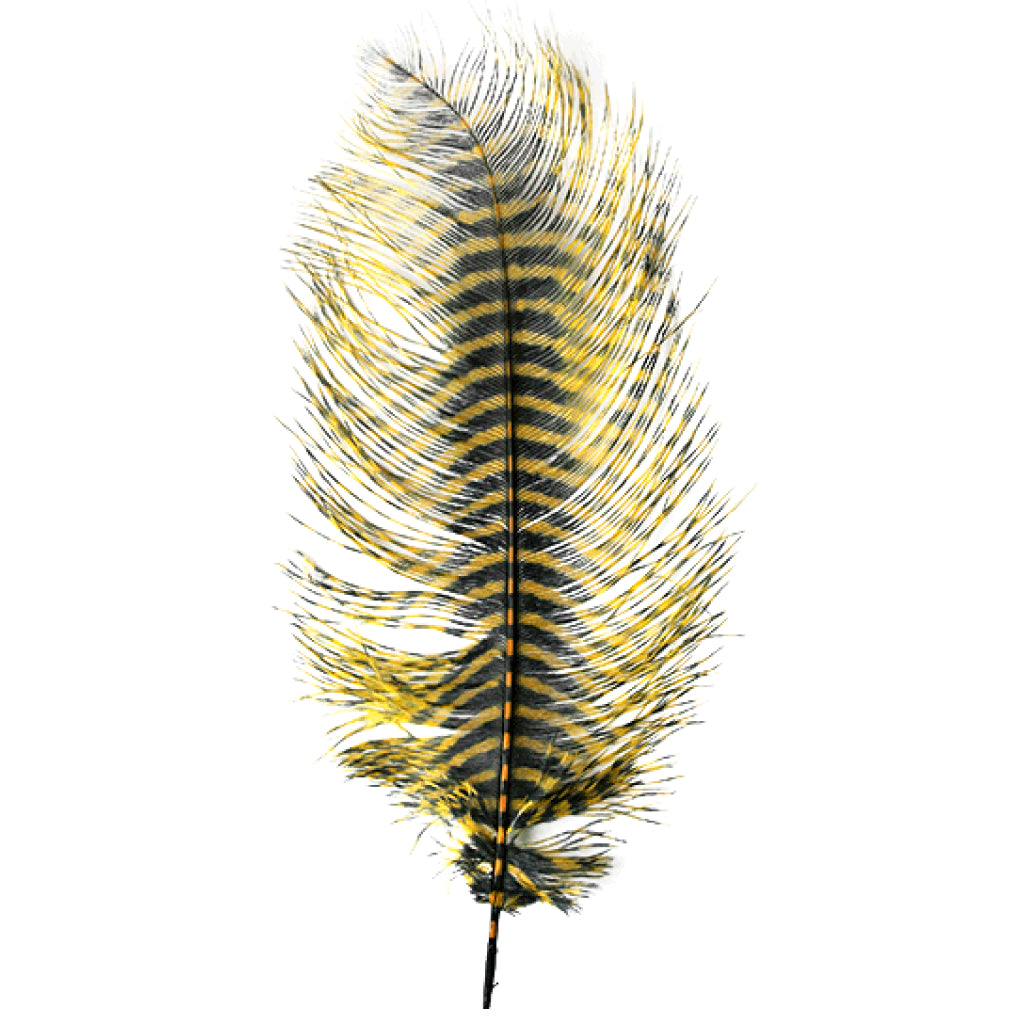 MFC Barred Ostrich Plume