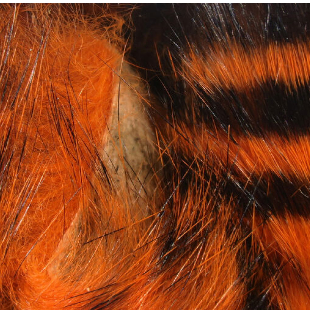 Black Barred Magnum Rabbit Strips