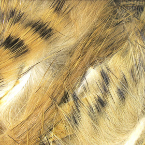 Black Barred Magnum Rabbit Strips