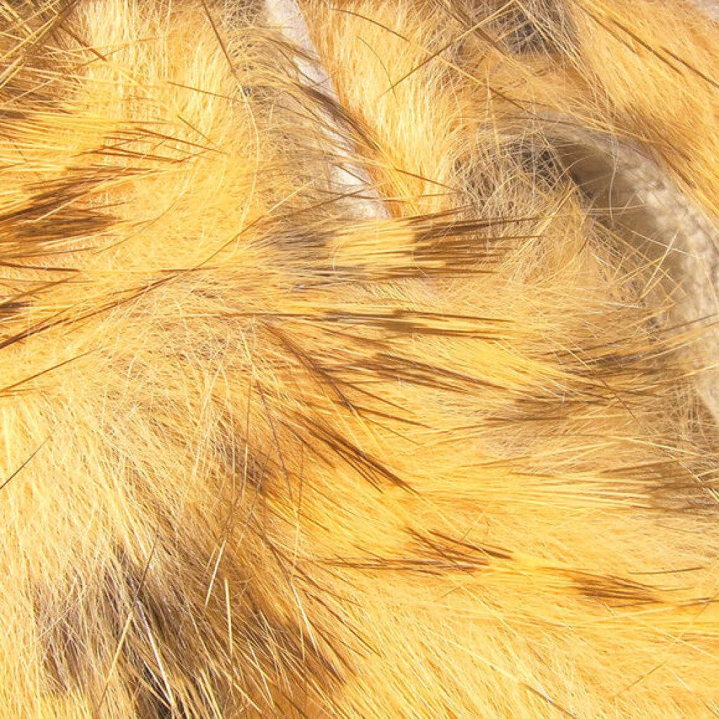 Brown Barred Rabbit Strips