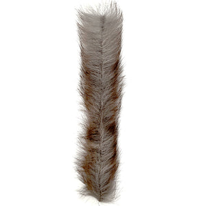 MFC Bunny Brush