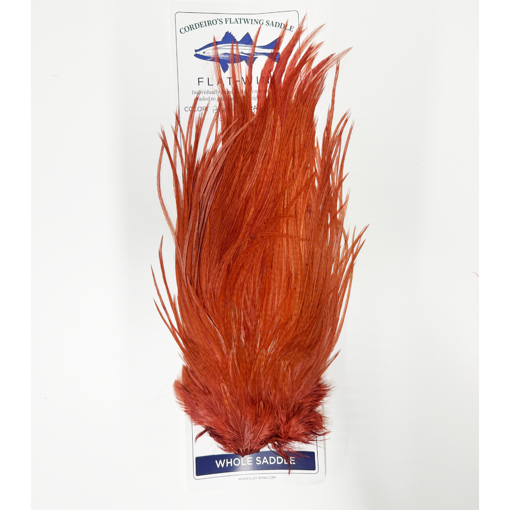 Cordeiro's Flat Wing Saddle