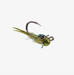 RIO's Bug Nugget