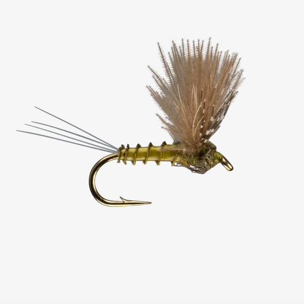 Dry Flies: Mayflies - The Compleat Angler