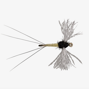 CDC Spinner Trico