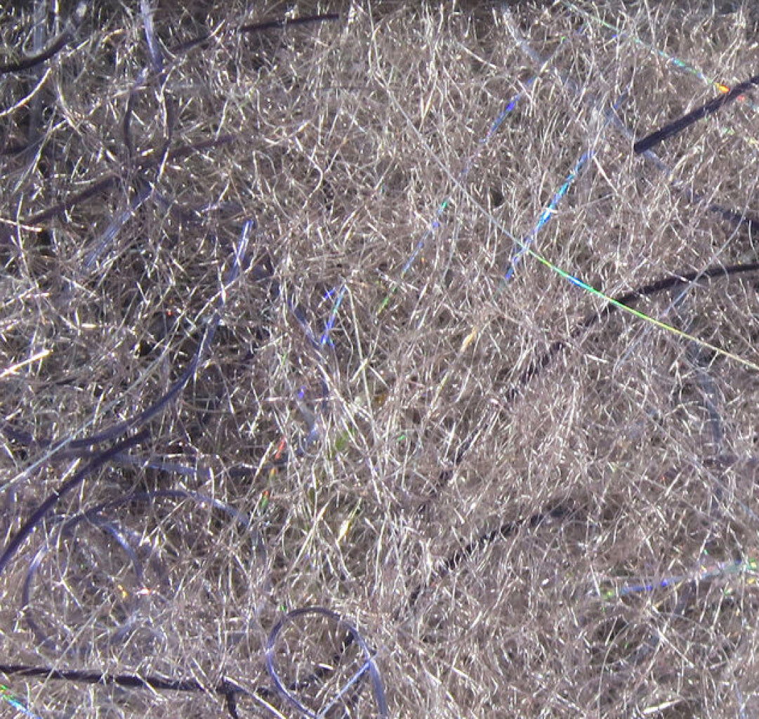 Cohen&#39;s Carp Dub