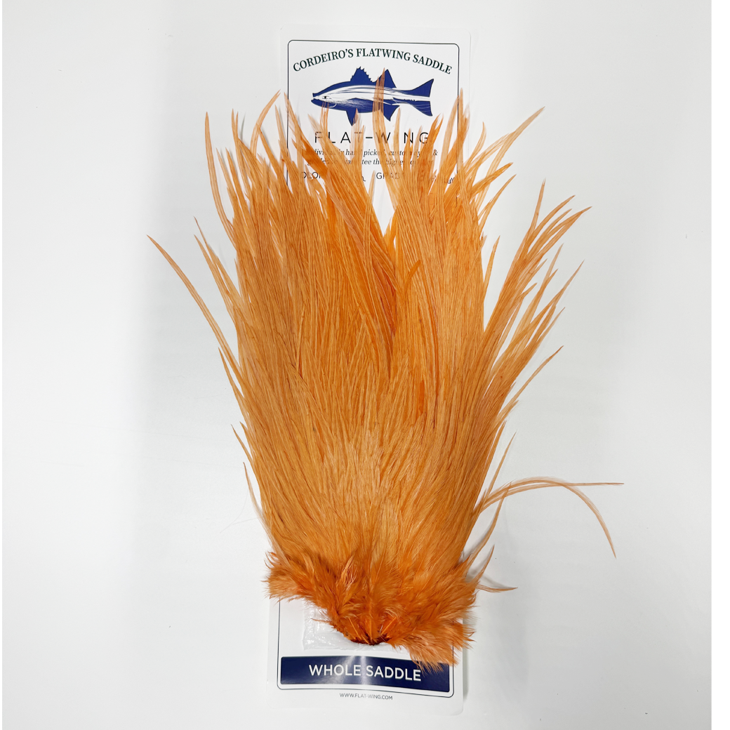Cordeiro's Flat Wing Saddle