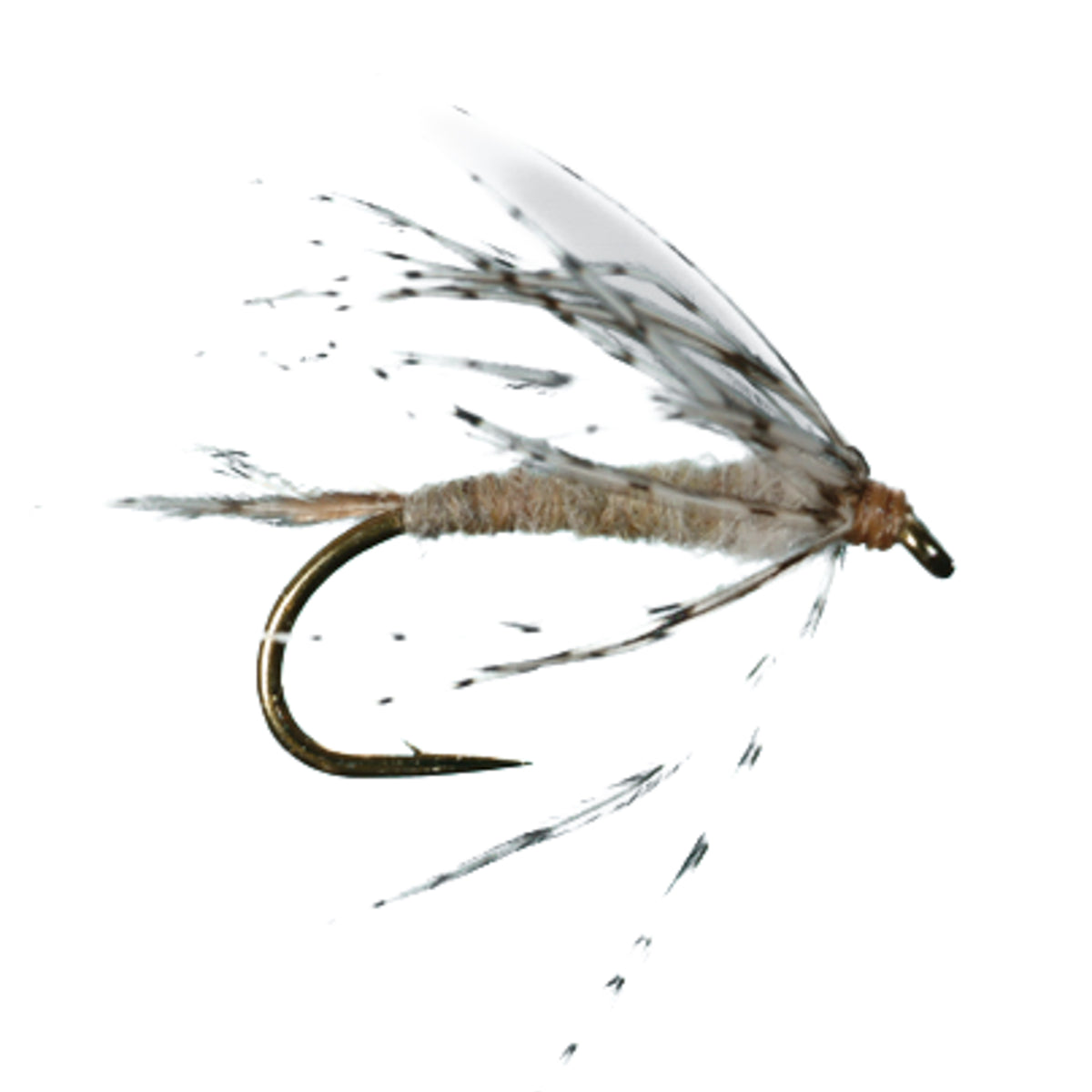 SOFT HACKLE FLY