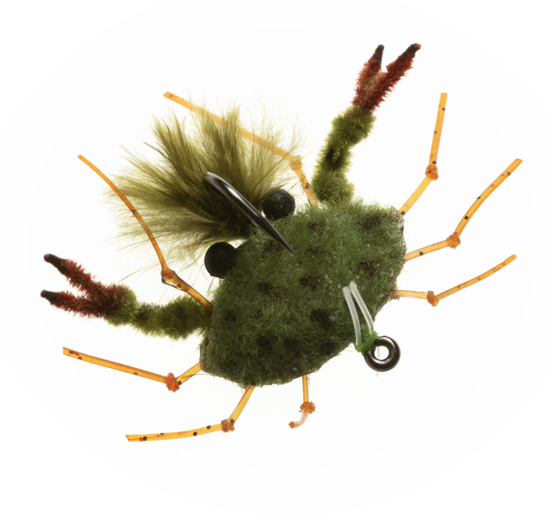 Enrico Puglisi Palometa Crab