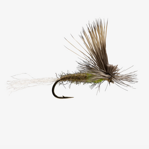E/C Caddis