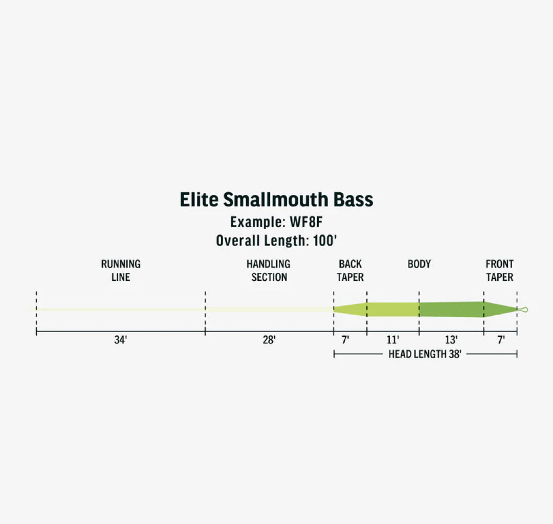 Rio Elite Smallmouth Bass Fly Line