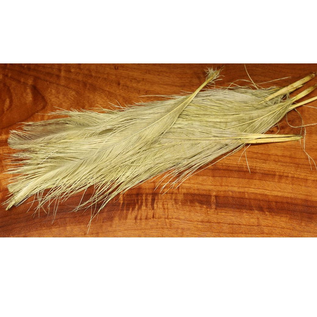 UV2 Raptor Hackle