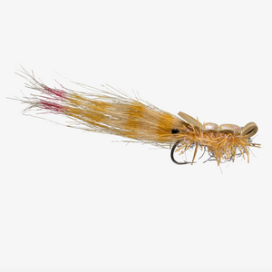 Rio's Guido Shrimp