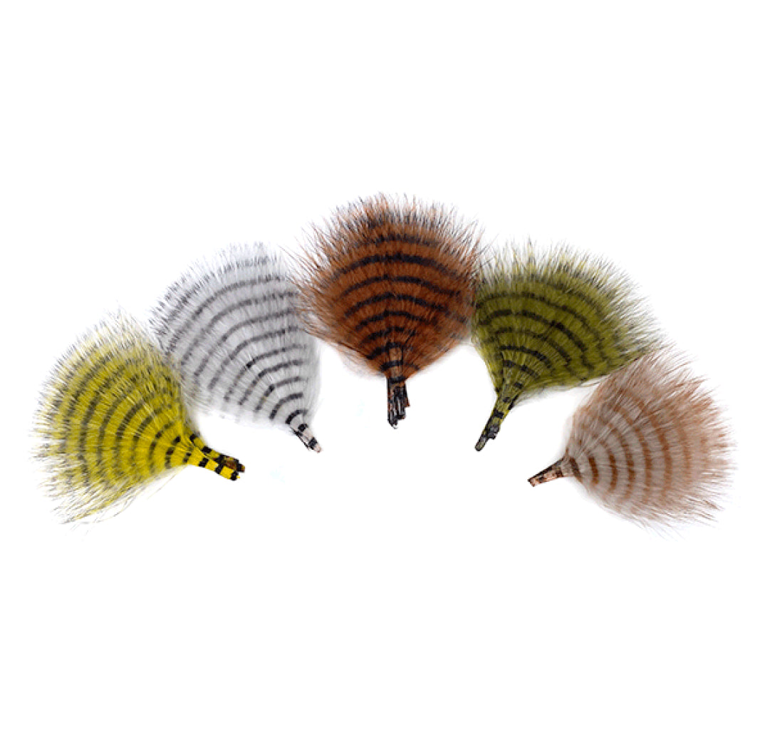 MFC Mini Barred Buggerbou