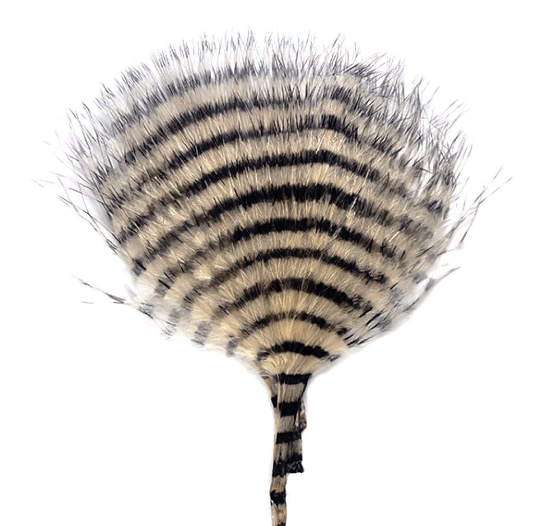 MFC Mini Barred Buggerbou