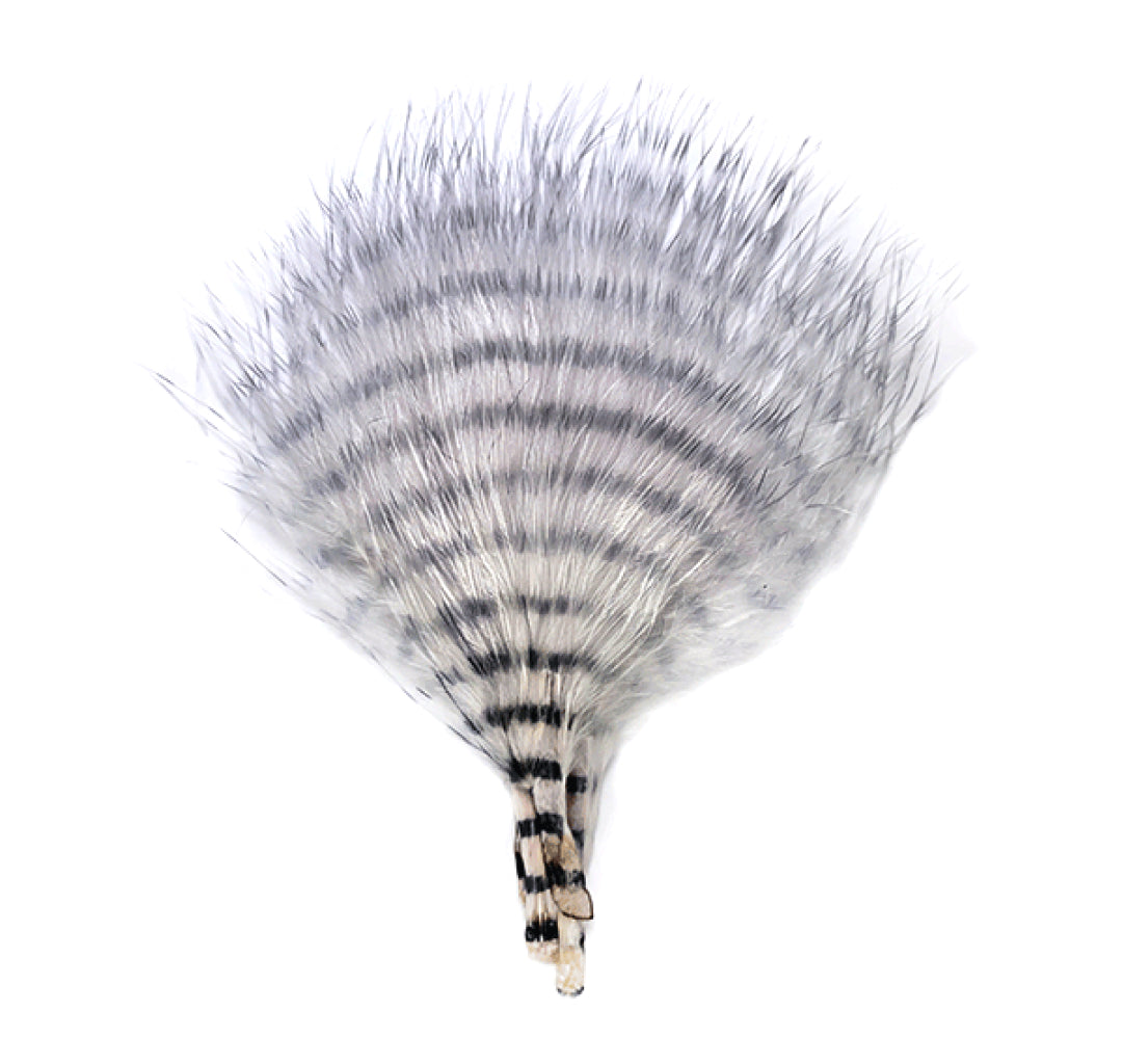 MFC Mini Barred Buggerbou