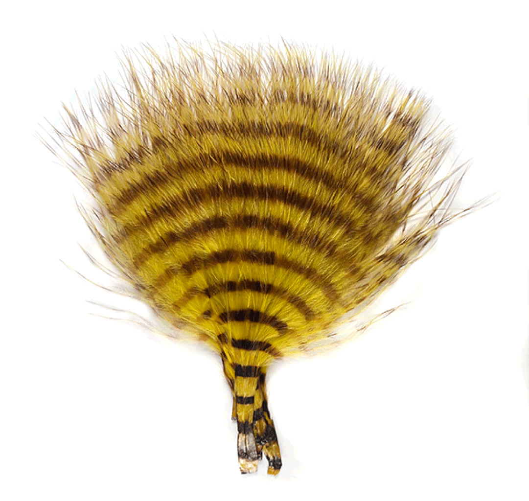 MFC Mini Barred Buggerbou