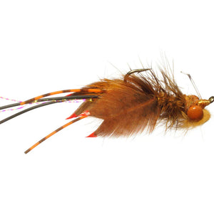 Whitlock's Nearnuff Crayfish