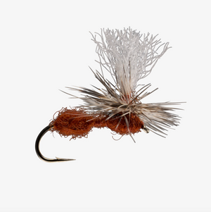 Parachute Ant