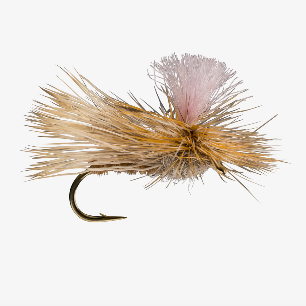 Parachute Caddis