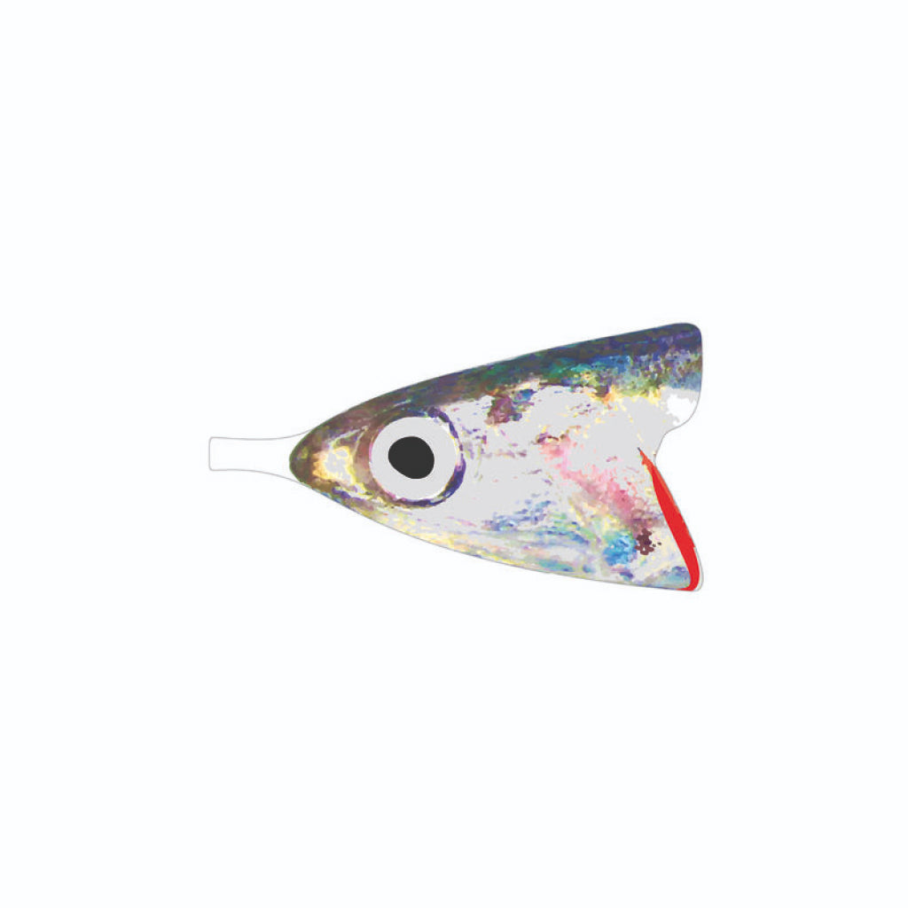 Pro Anchovy Foils
