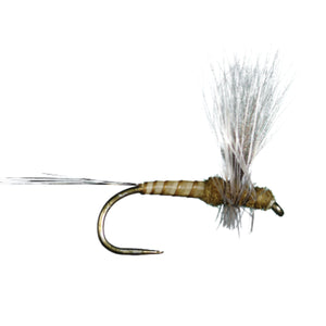 HARROP'S CDC THORAX