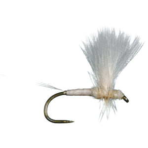HARROP'S CDC THORAX