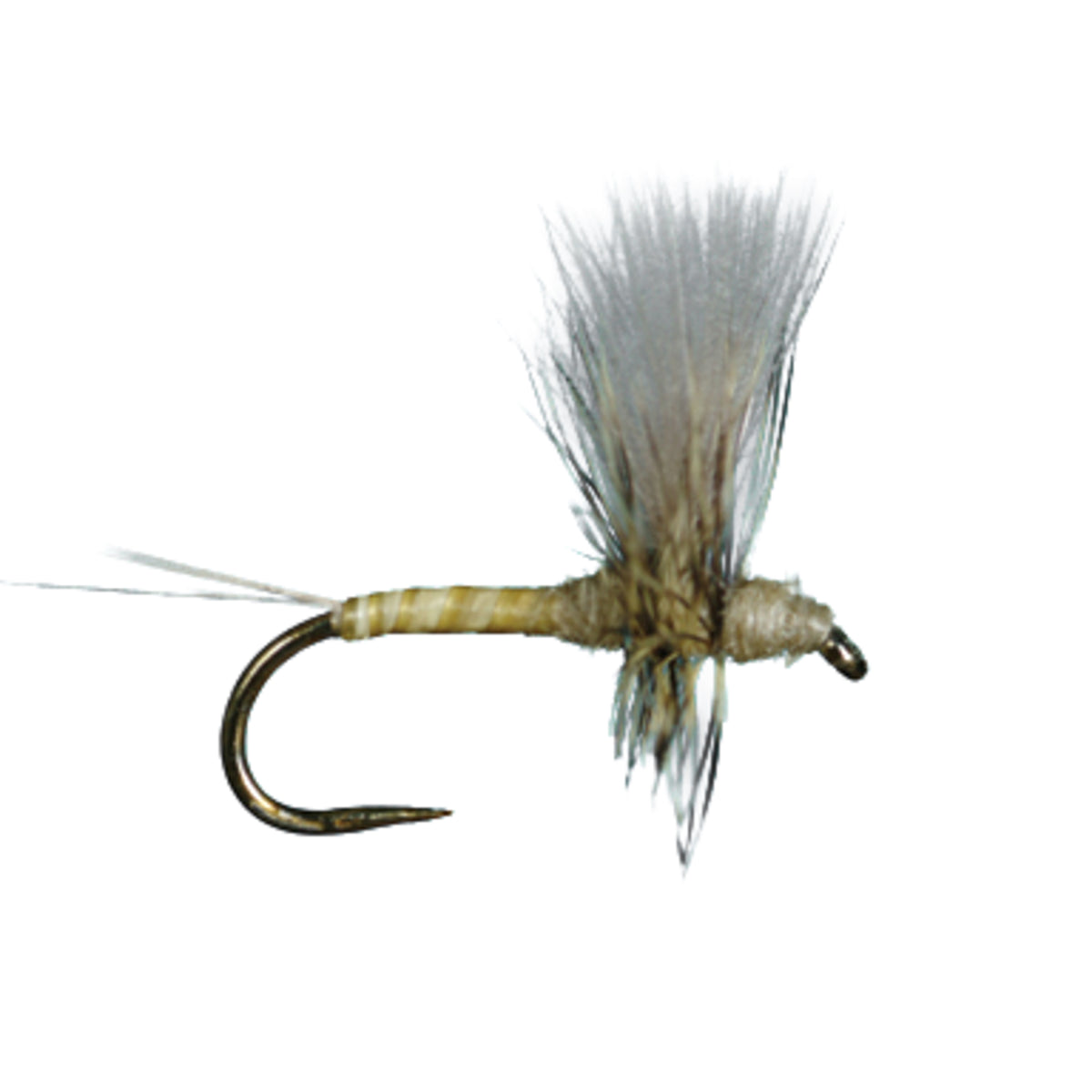 HARROP&#39;S CDC THORAX