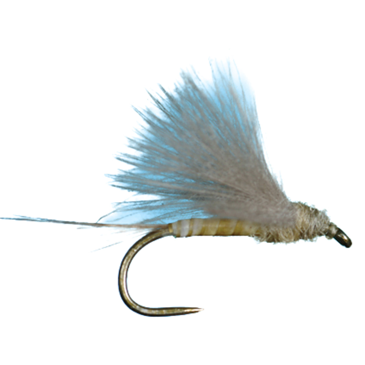 HARROP&#39;S CDC BIOT DUN