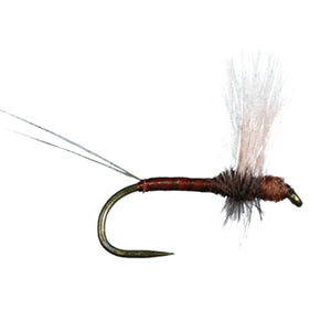 HARROP'S CDC THORAX
