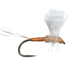 HARROP'S CDC THORAX