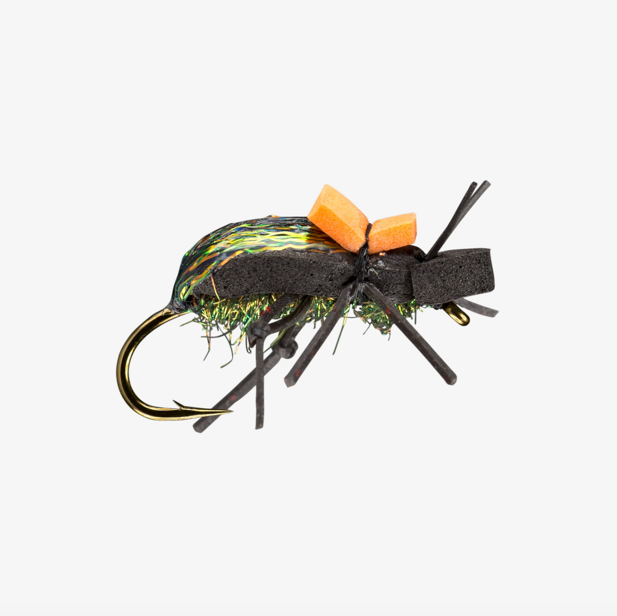 RIO&#39;s Ground Beetle
