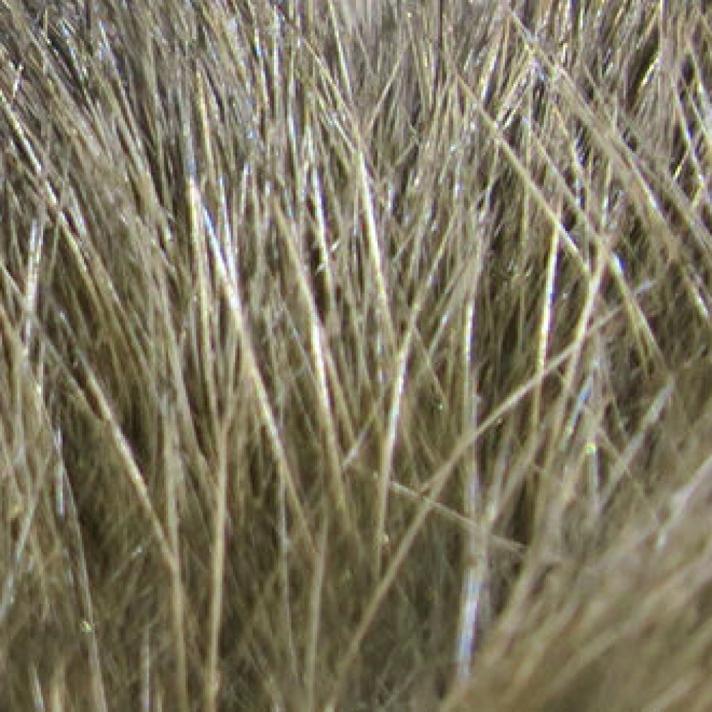 Hare&#39;s Mask Grade #1