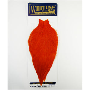 Whiting American Rooster Cape