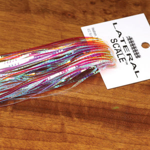 Lateral Scale 1/16"