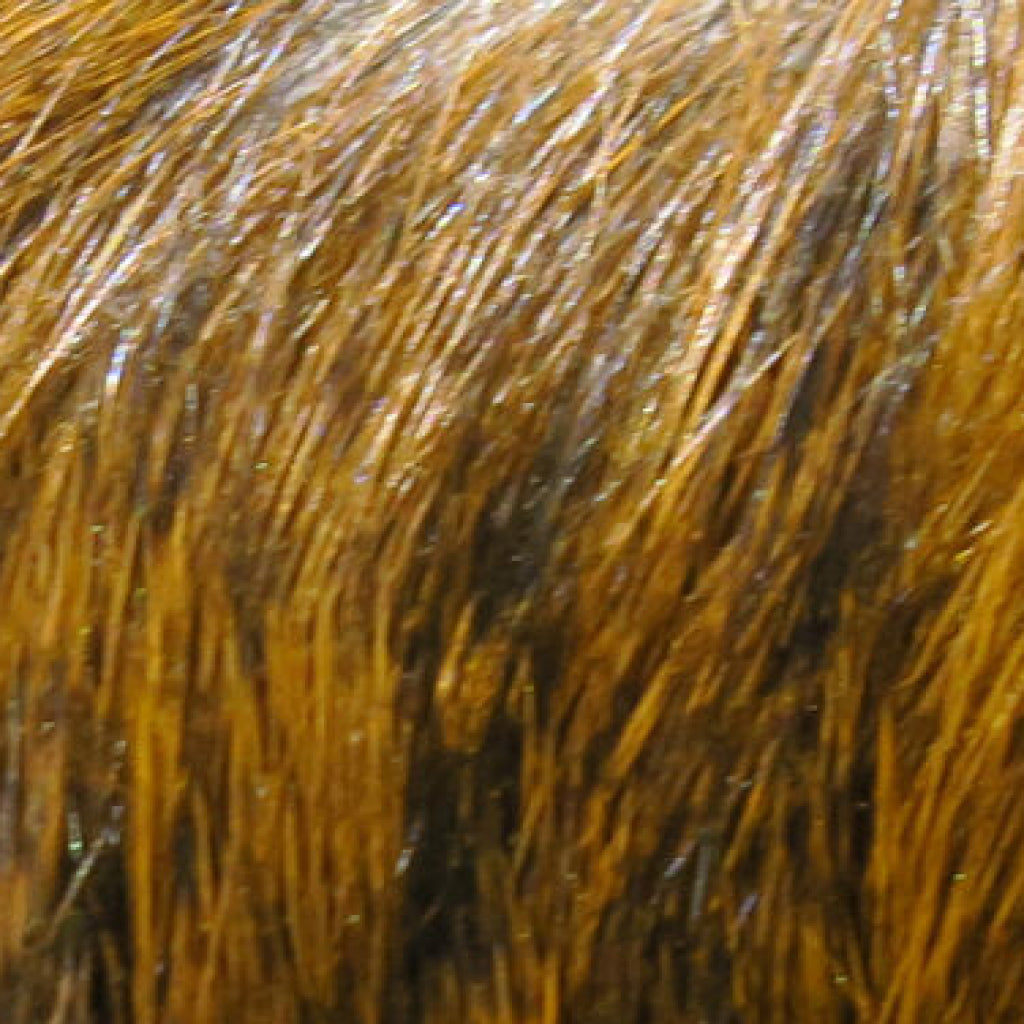 Hare&#39;s Mask Grade #1