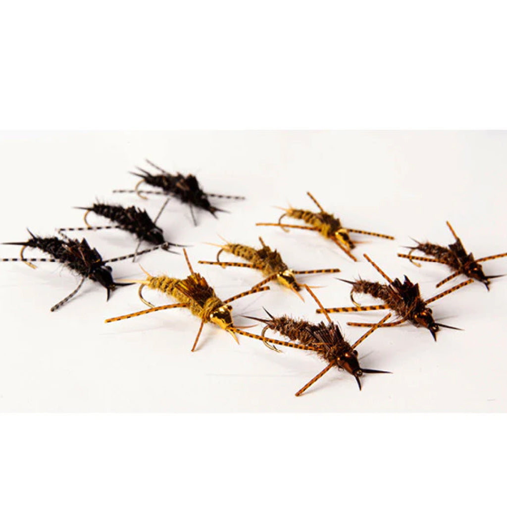 Nymph-Head Evolution Stonefly Tungsten Heads Small - Gold