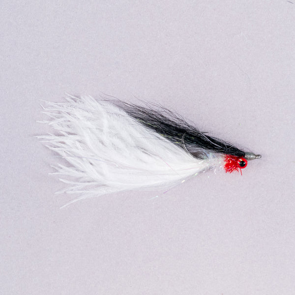 The Assassin Fly