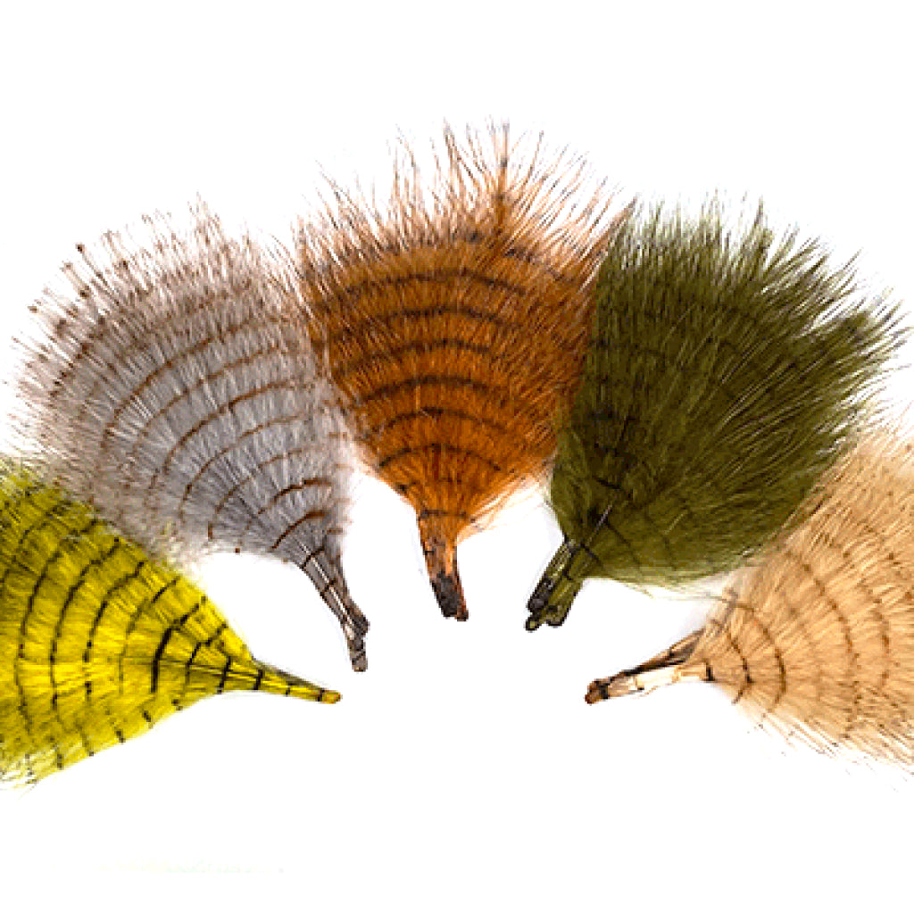 MFC Fine Barred Marabou