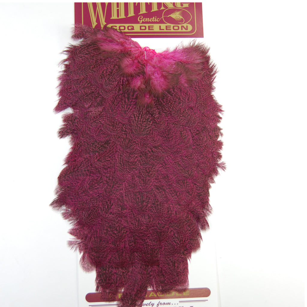 Whiting Coq de Leon Hen Saddle