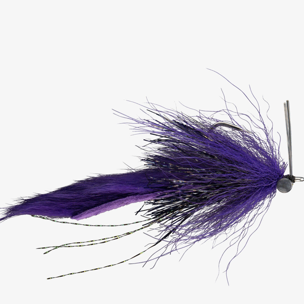 Boyle&#39;s Swamp Fox Fly