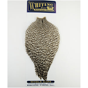 Whiting American Rooster Cape