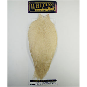 Whiting American Rooster Cape