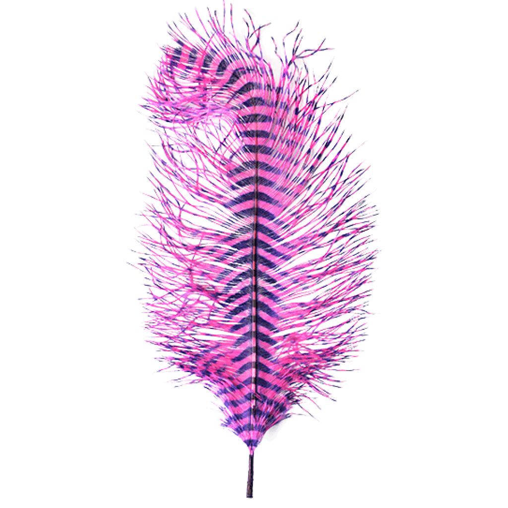 MFC Barred Ostrich Plume
