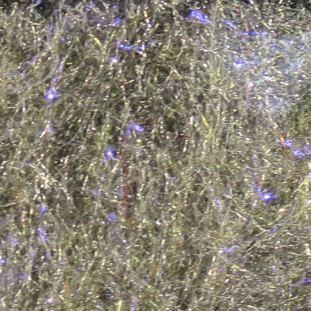 Fly Fish Food&#39;s Bruiser Blend