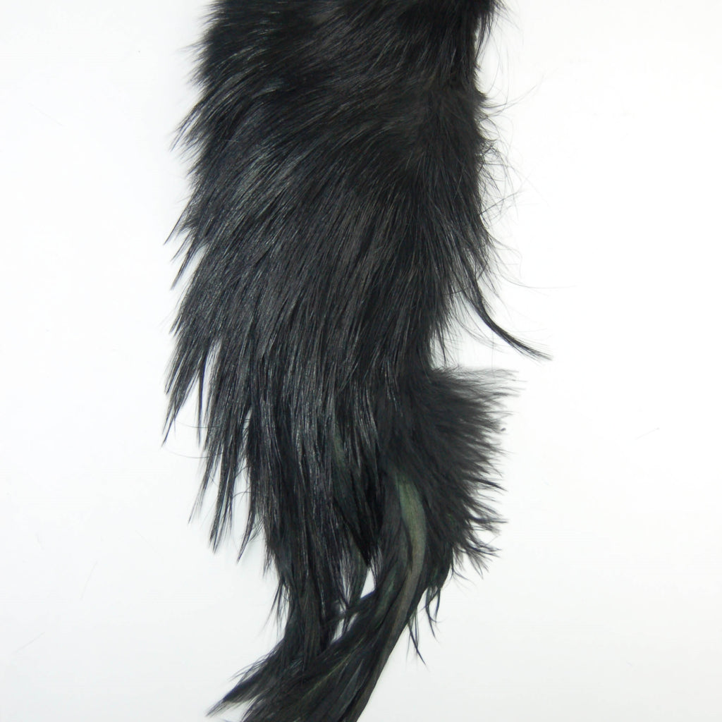 Whiting Bird Fur
