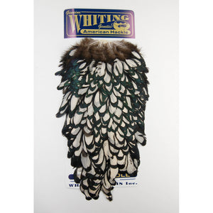 Whiting American Hen Saddle