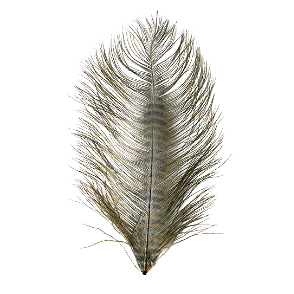 MFC Barred Ostrich Plume