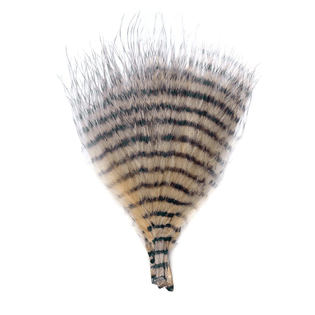 MFC Mini Barred Marabou 3&quot;- 5&quot;