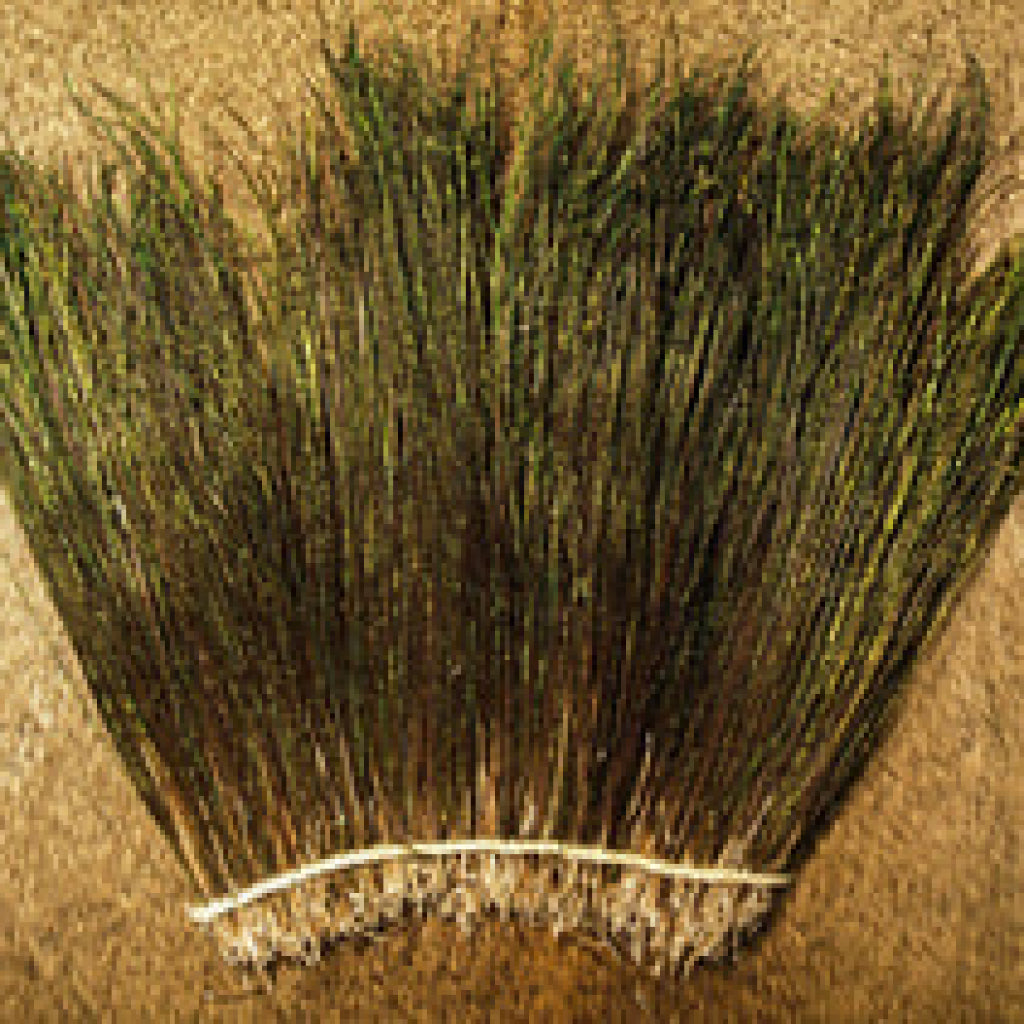 Nature&#39;s Spirit Peacock Strung Herl